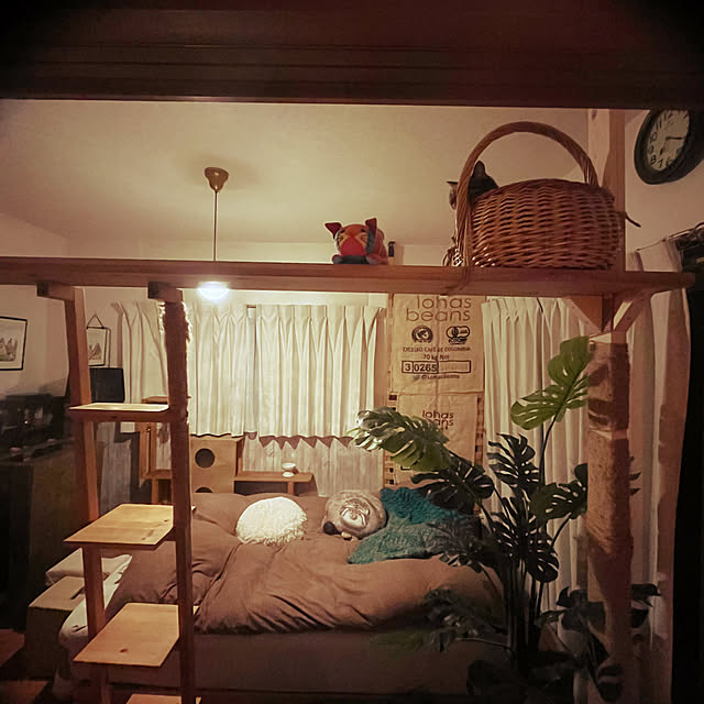 Mさんの実例写真
