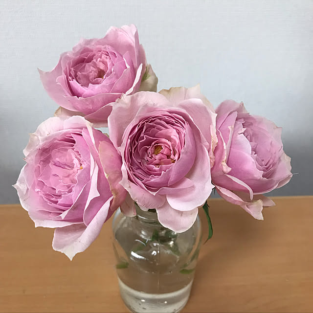 plumさんの実例写真