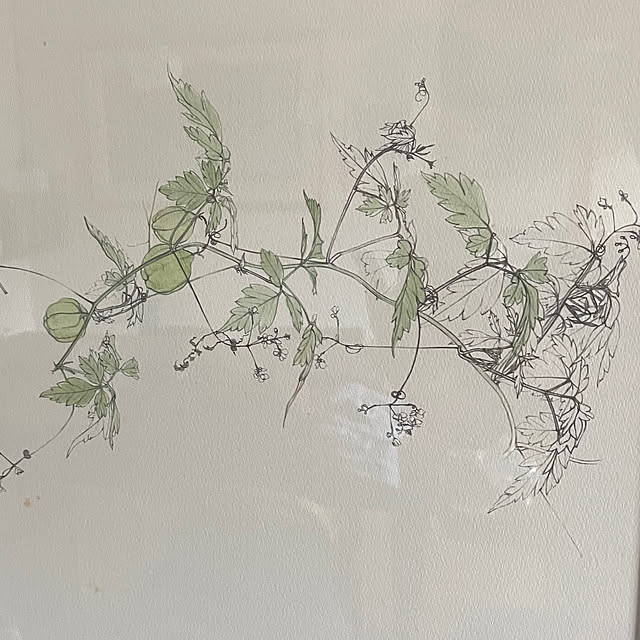 buchiさんの部屋