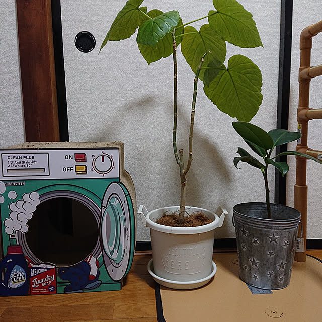 mugi77327732さんの実例写真
