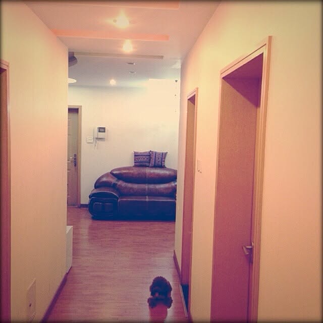 maylieさんの実例写真
