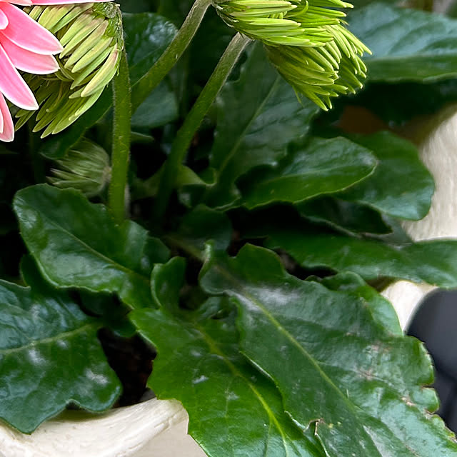 KNさんの部屋