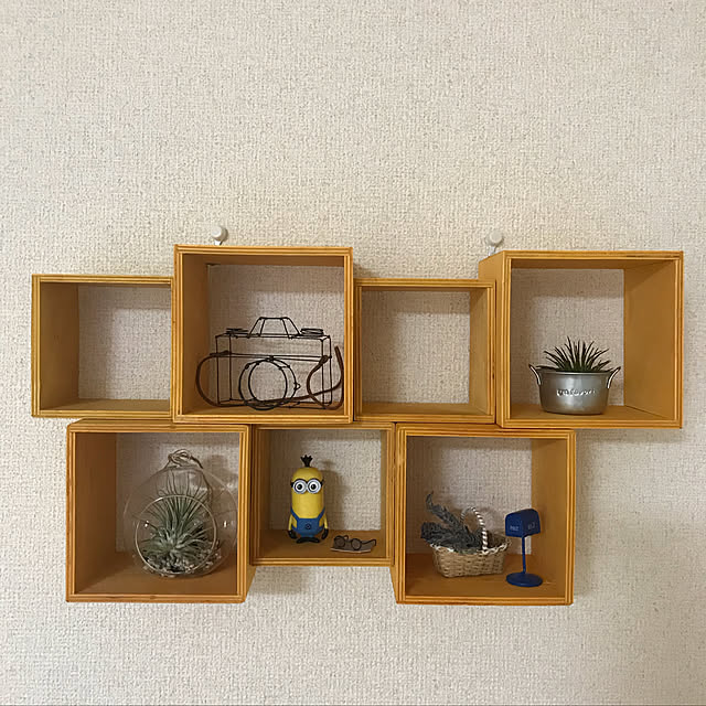 umeboshi08さんの実例写真