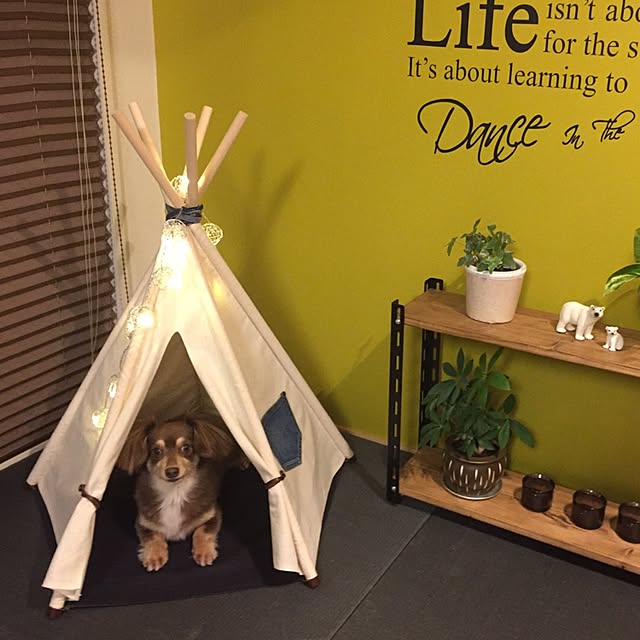 rikakoさんの実例写真