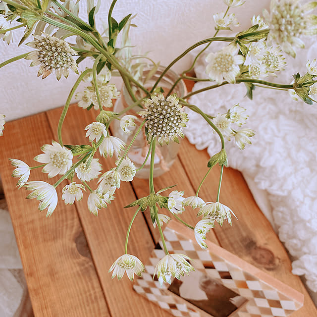 smallroomさんの実例写真