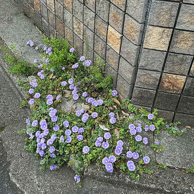 fumikoiさんの部屋