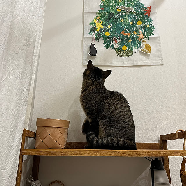 yococo_kurashiさんの実例写真