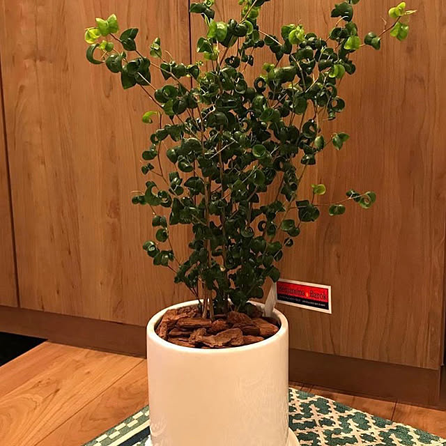 osaruさんの実例写真