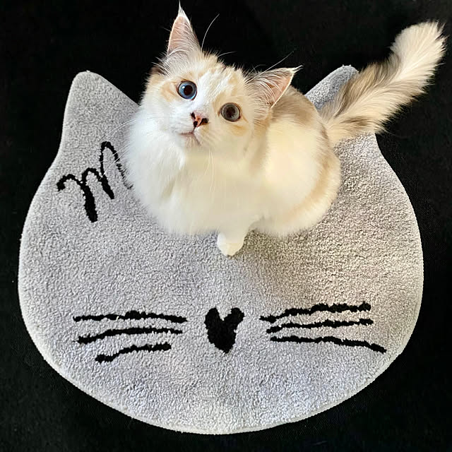 mokkoさんの実例写真