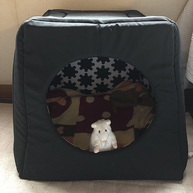 chiさんの実例写真