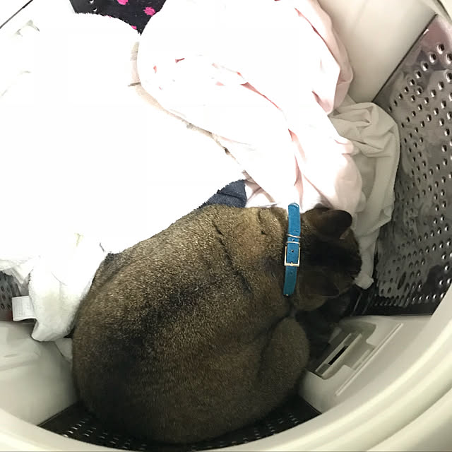 1104さんの実例写真