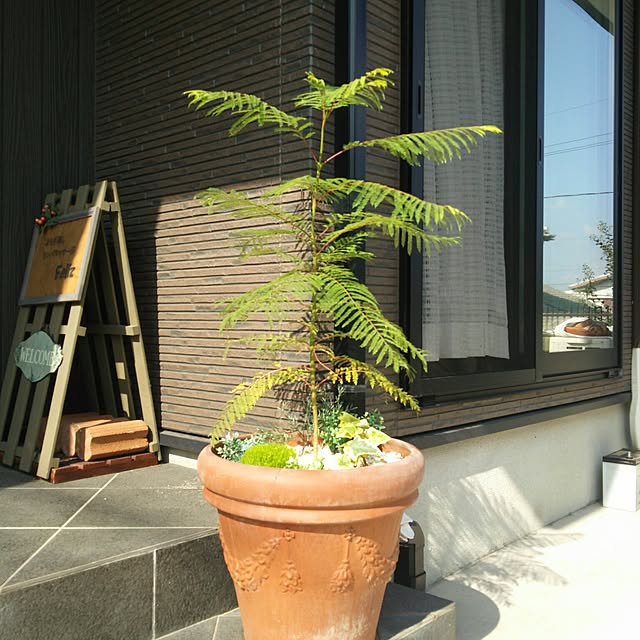 実例写真