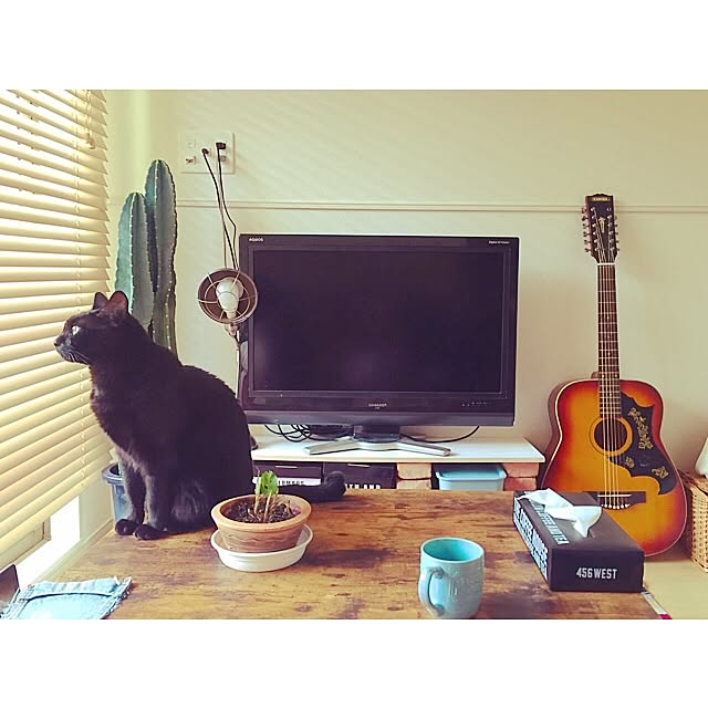 xxxeripxxxさんの実例写真