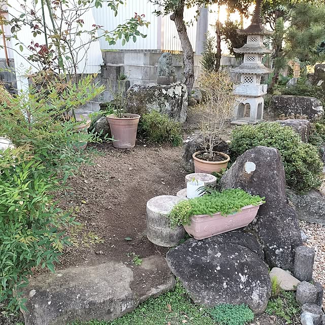 sumimarumiさんの部屋