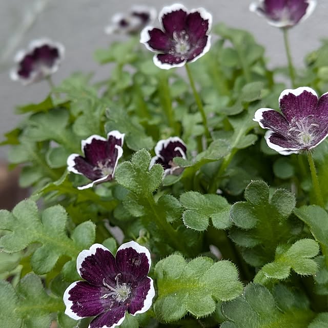 kumijiさんの部屋