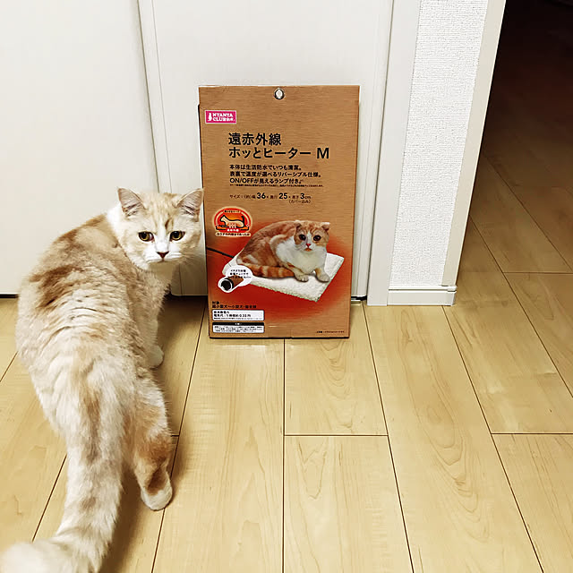 H.Tさんの実例写真