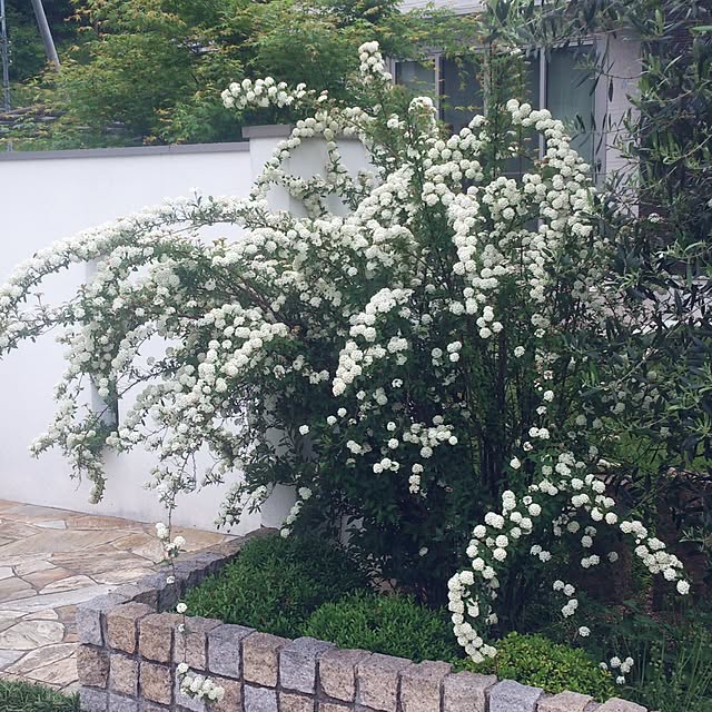 kinakoさんの実例写真