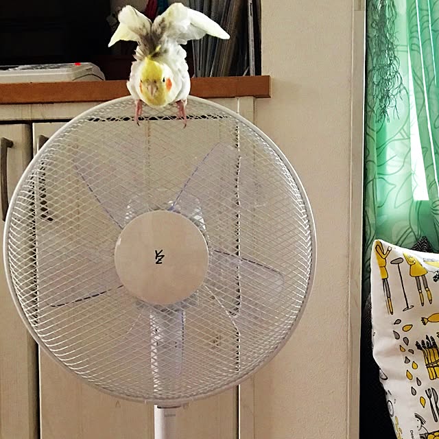 puriyuzuさんの実例写真