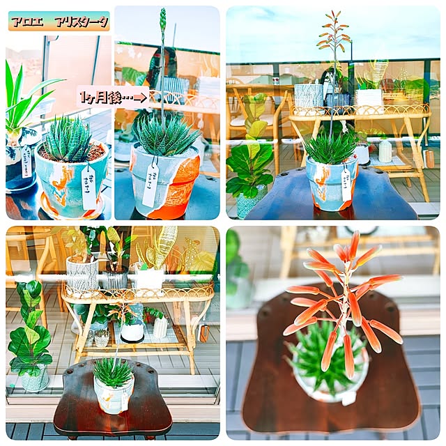 eさんの部屋