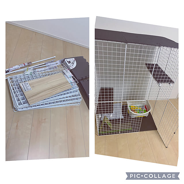 poralisさんの実例写真