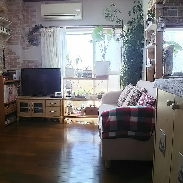naopyiさんの実例写真
