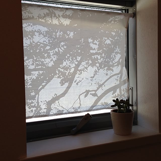 kokedamaさんの実例写真