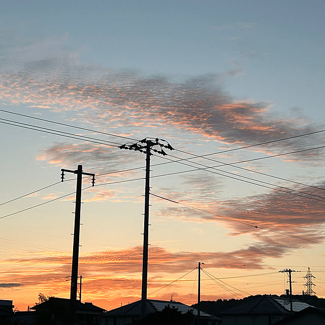 ritsukoさんの部屋