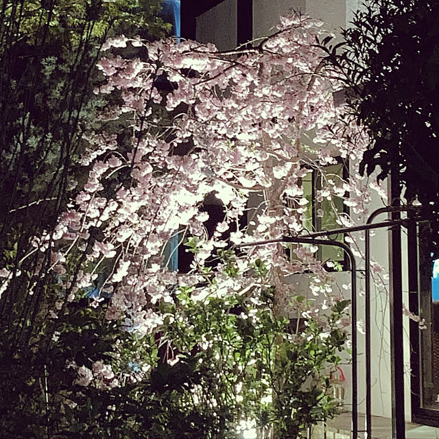 masさんの実例写真