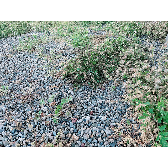 darakoさんの部屋