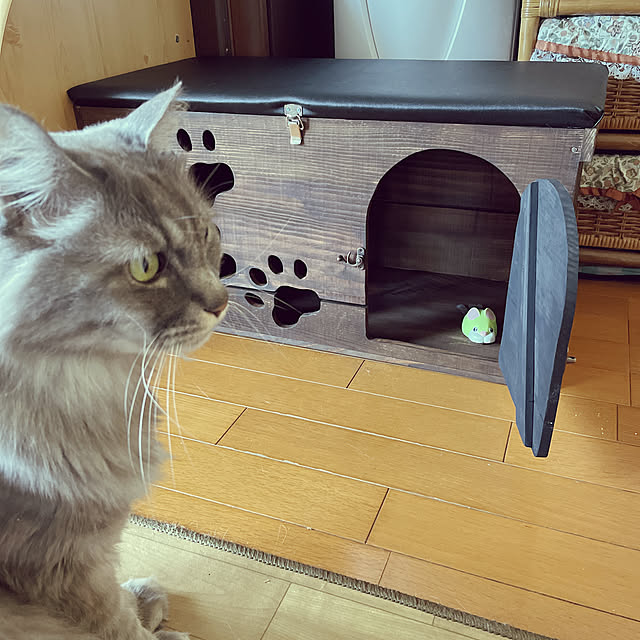 naworinさんの実例写真