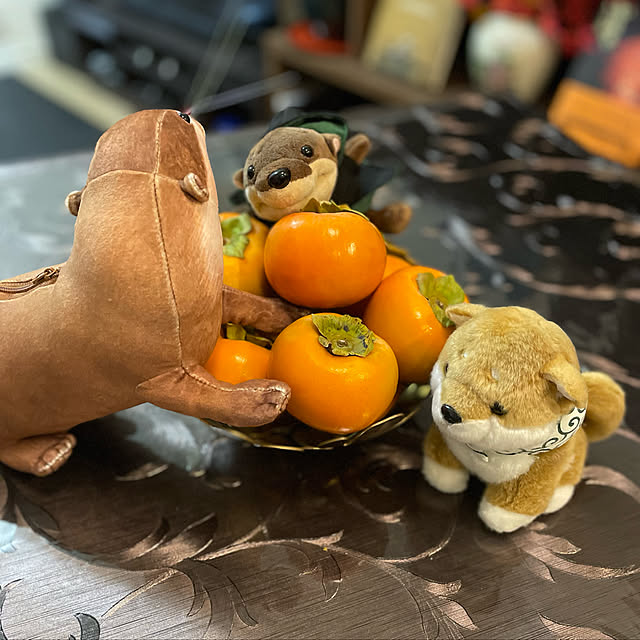 aureaさんの実例写真
