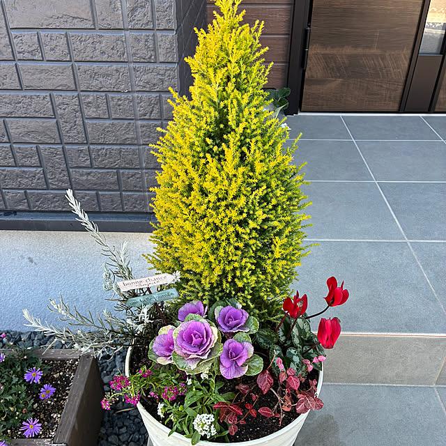 sammyさんの実例写真