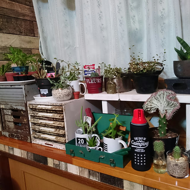 tikuwaさんの実例写真