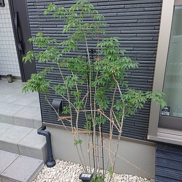 kaanaさんの実例写真