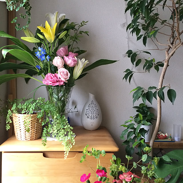 部屋全体/IKEA/ナチュラル/観葉植物/雑貨のインテリア実例 - 2020-03-28 11:24:51