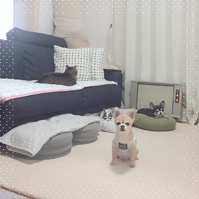 Emiさんの実例写真