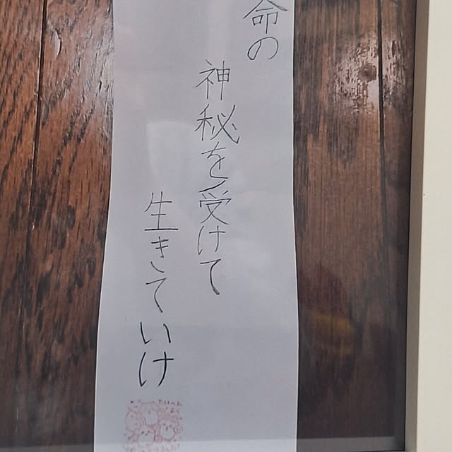 hakata-baさんの部屋