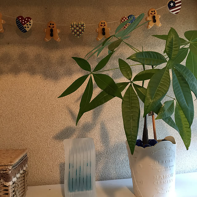 akekuroankoさんの実例写真