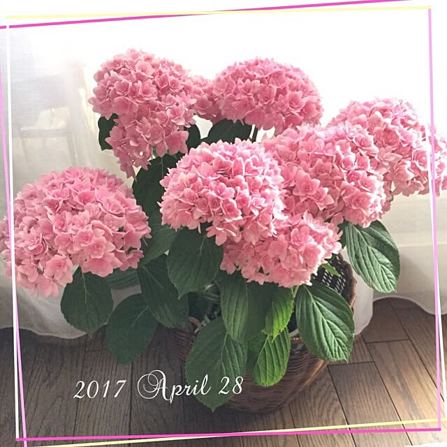 mockさんの実例写真