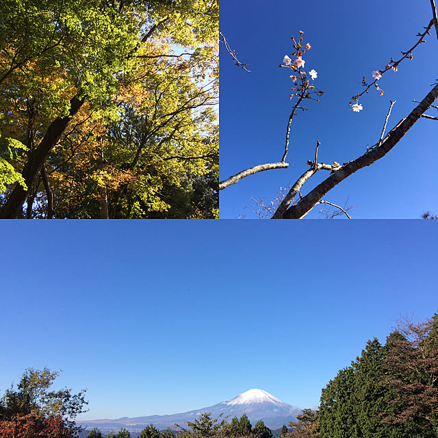 実例写真