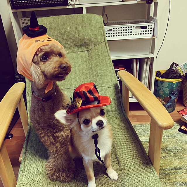 moko7ruiさんの実例写真