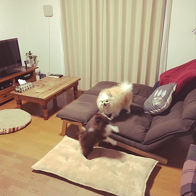 ohanaさんの実例写真
