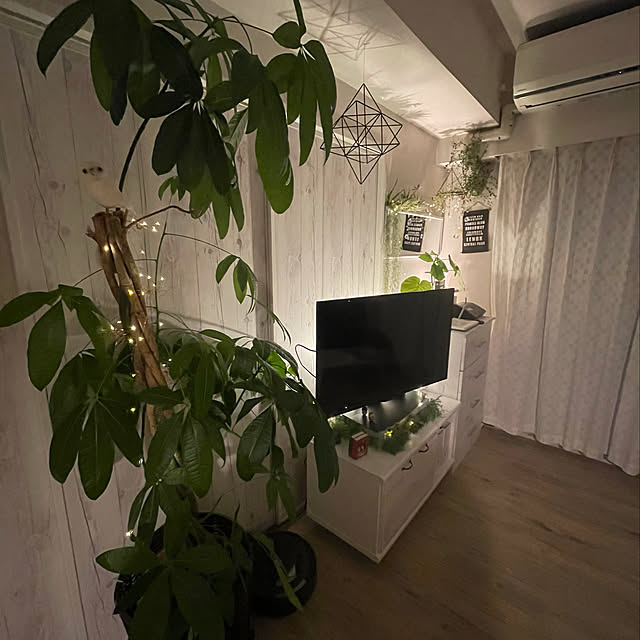 funiさんの実例写真