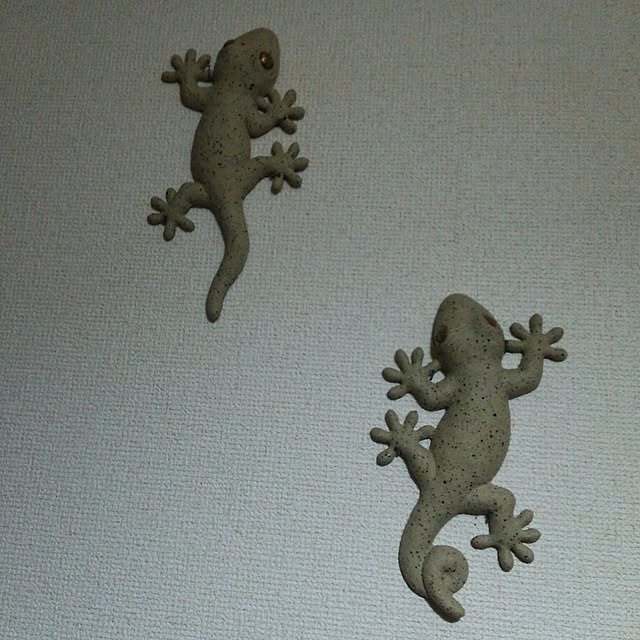 midoさんの実例写真