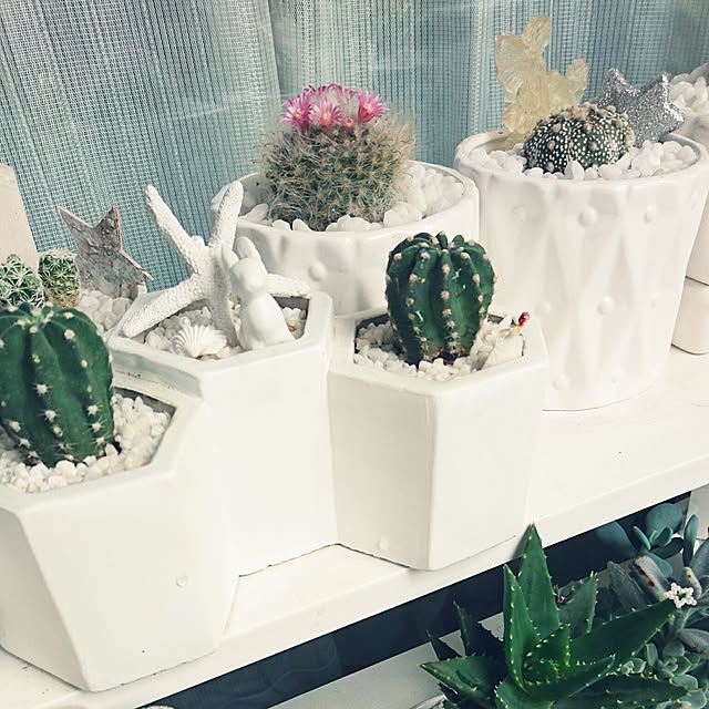 mhkさんの実例写真