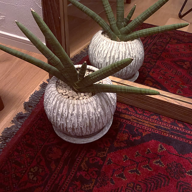 gardenMさんの実例写真