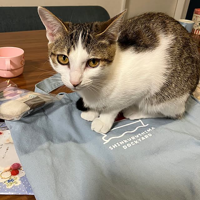 ha_koさんの部屋