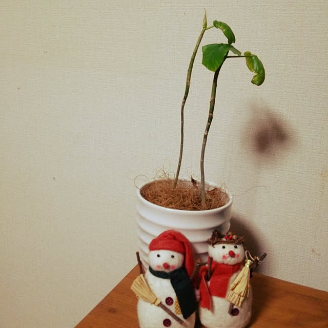 chamuさんの実例写真