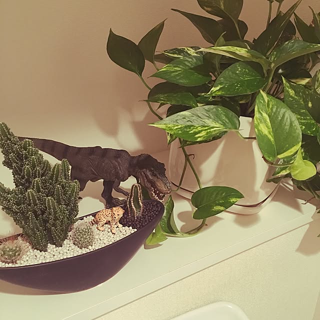 CHIIさんの実例写真