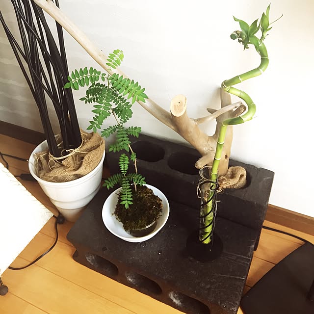 RYOROOMさんの実例写真